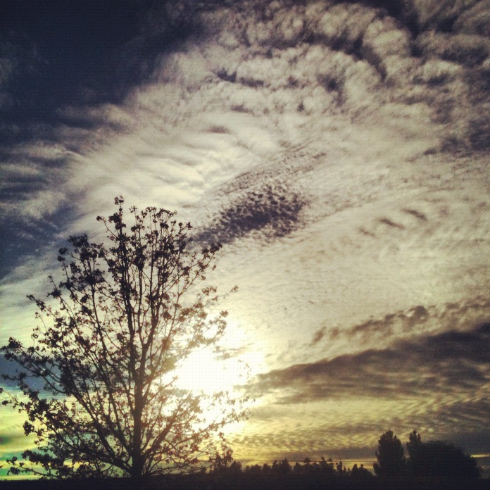 Sunset Tree Clouds Sunset Tree Clouds